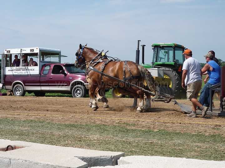 alto-fair-horse-pull-2009-097
