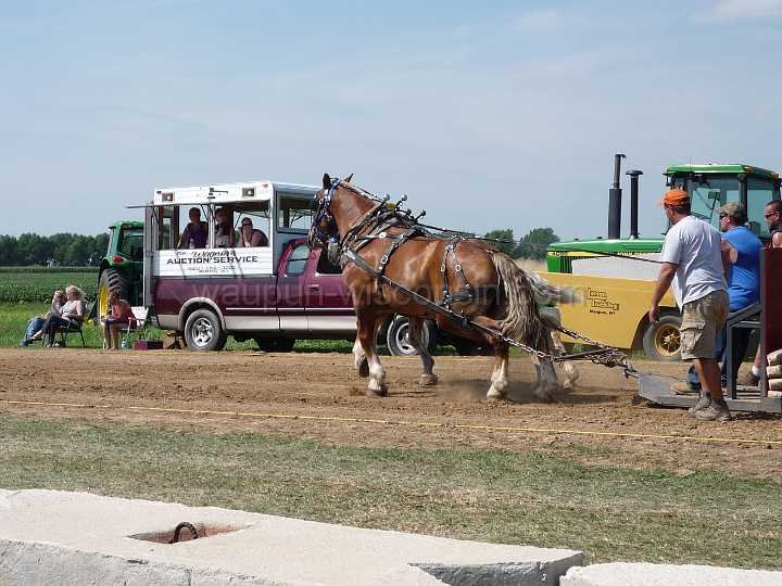 alto-fair-horse-pull-2009-098