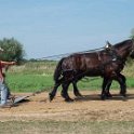 alto-fair-horse-pull-2009-018