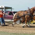 alto-fair-horse-pull-2009-032