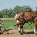 alto-fair-horse-pull-2009-039