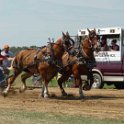 alto-fair-horse-pull-2009-065