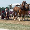 alto-fair-horse-pull-2009-071