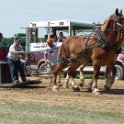 alto-fair-horse-pull-2009-074