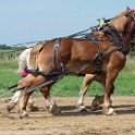 alto-fair-horse-pull-2009-086