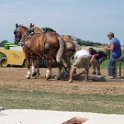 alto-fair-horse-pull-2009-092