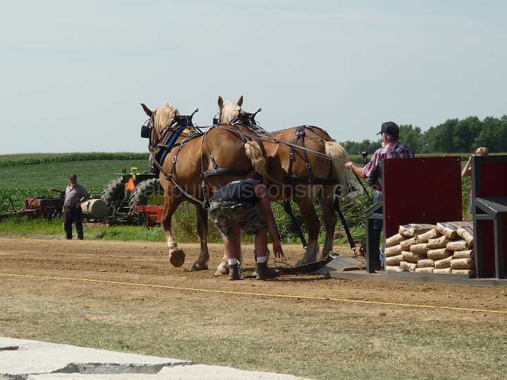 alto-fair-horse-pull-2009-104