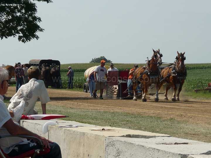 alto-fair-horse-pull-2009-117