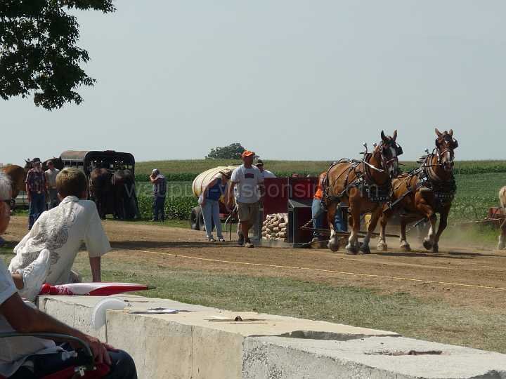 alto-fair-horse-pull-2009-118