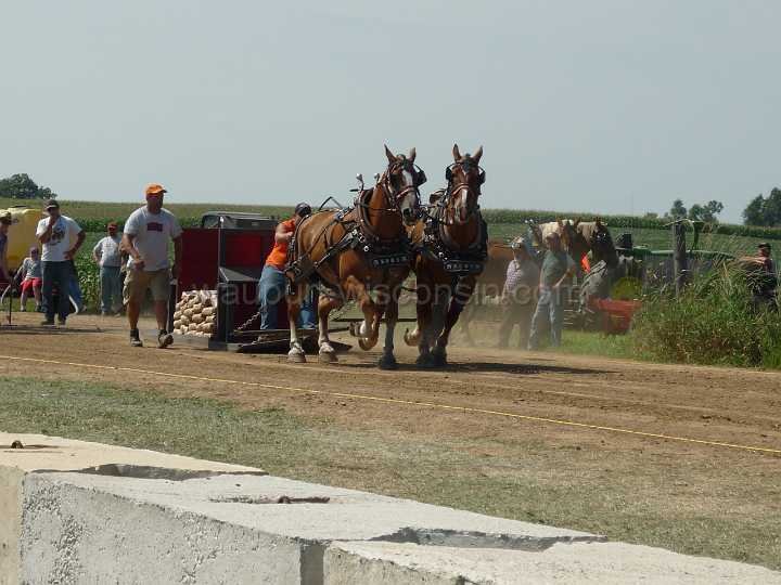 alto-fair-horse-pull-2009-122