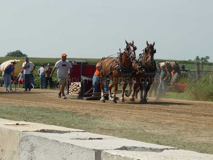alto-fair-horse-pull-2009-123