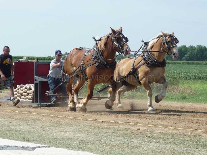 alto-fair-horse-pull-2009-130
