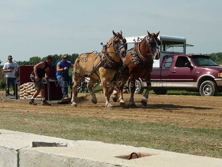 alto-fair-horse-pull-2009-140