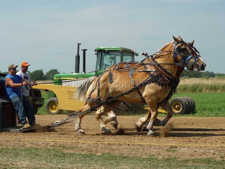 alto-fair-horse-pull-2009-149