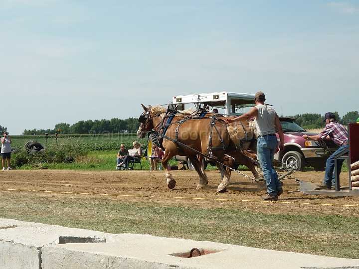 alto-fair-horse-pull-2009-160