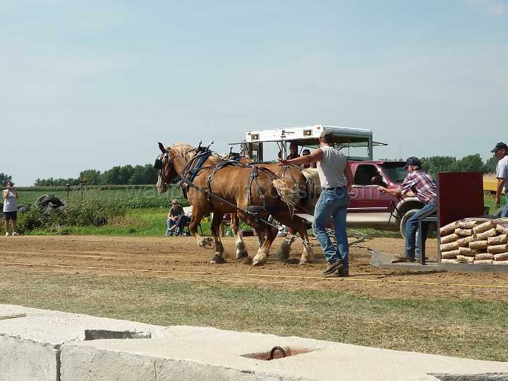 alto-fair-horse-pull-2009-161