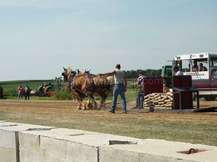 alto-fair-horse-pull-2009-167