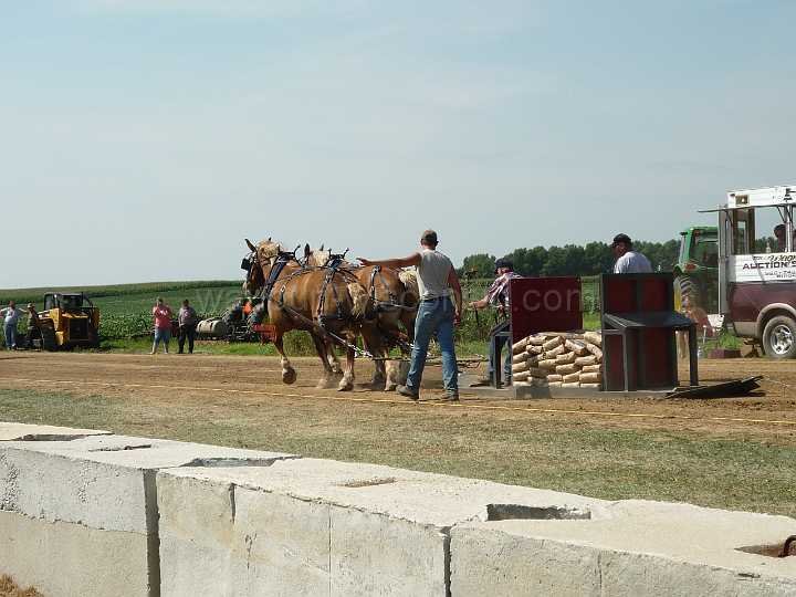 alto-fair-horse-pull-2009-169