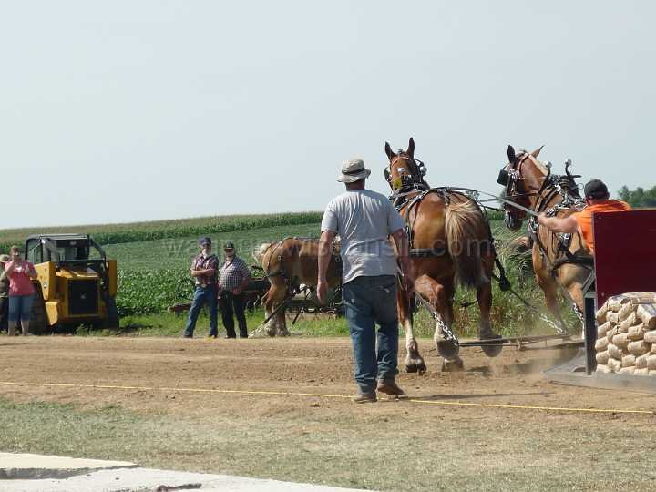 alto-fair-horse-pull-2009-171