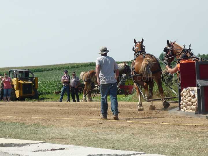 alto-fair-horse-pull-2009-172