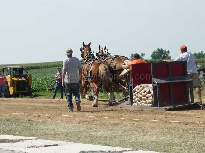 alto-fair-horse-pull-2009-175