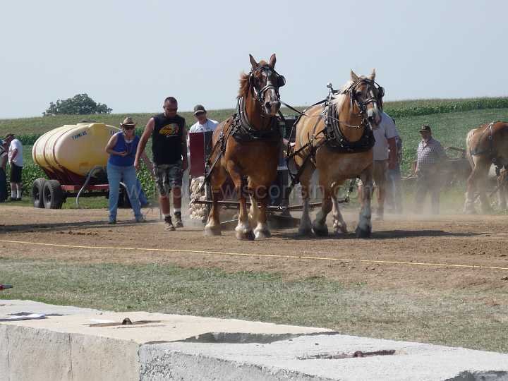 alto-fair-horse-pull-2009-180