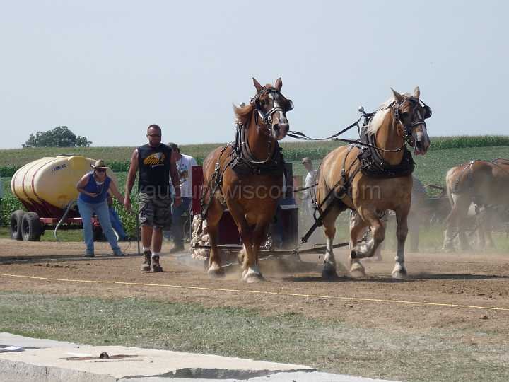alto-fair-horse-pull-2009-183