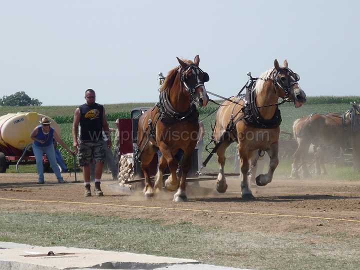 alto-fair-horse-pull-2009-184