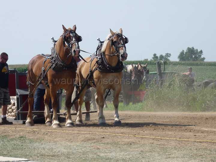 alto-fair-horse-pull-2009-190