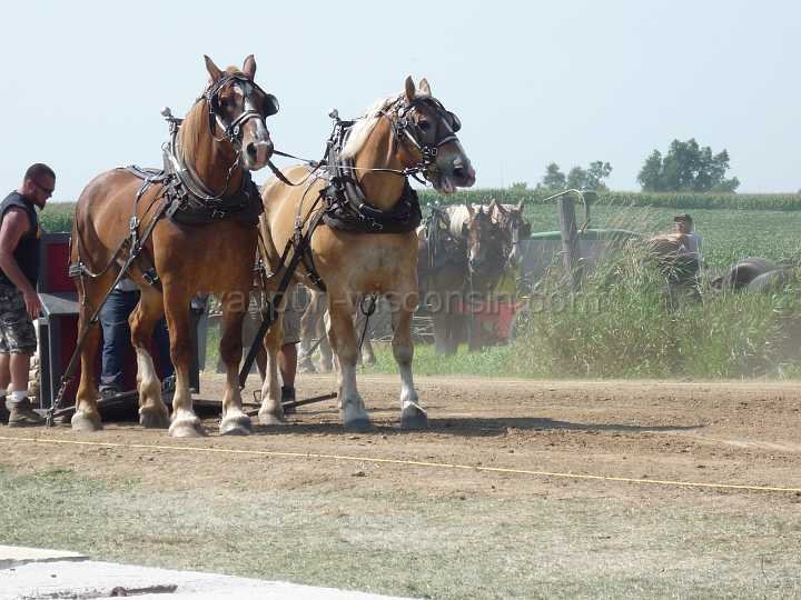 alto-fair-horse-pull-2009-191