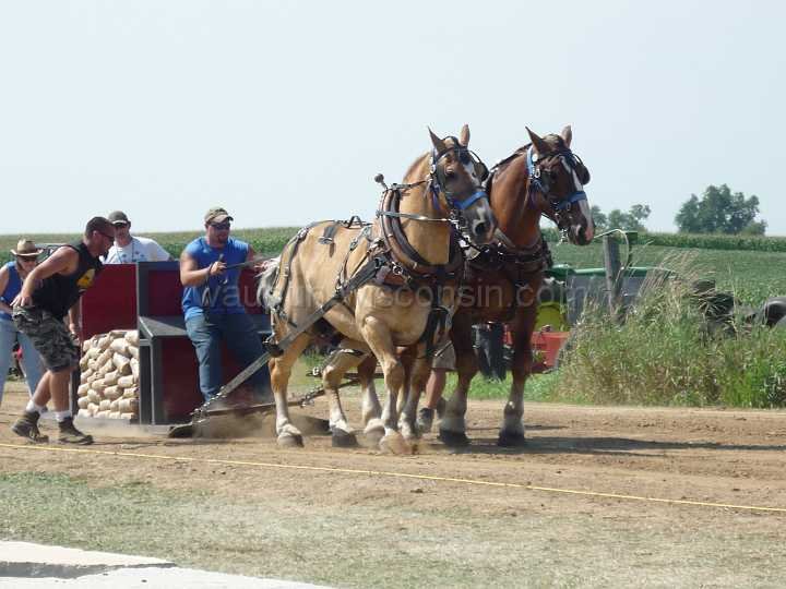 alto-fair-horse-pull-2009-193