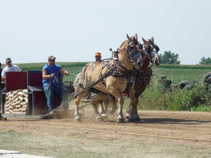 alto-fair-horse-pull-2009-195