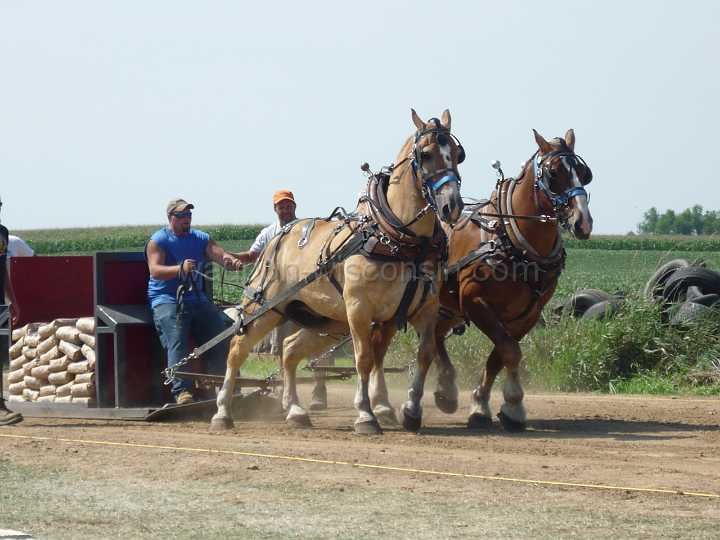 alto-fair-horse-pull-2009-196