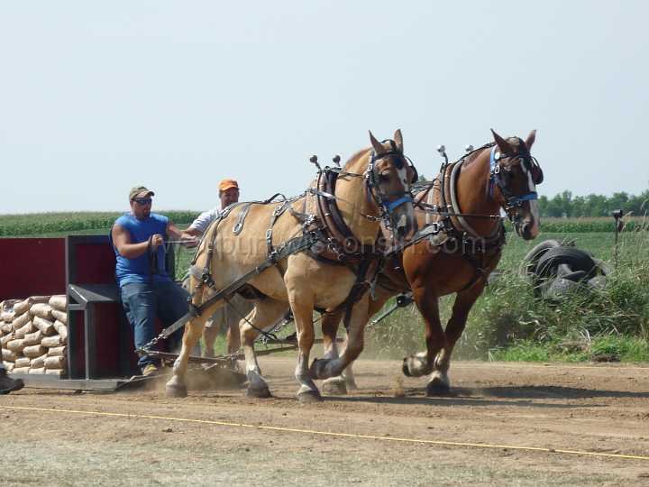 alto-fair-horse-pull-2009-197