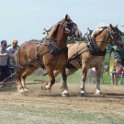 alto-fair-horse-pull-2009-132