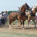 alto-fair-horse-pull-2009-133