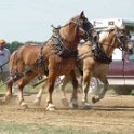 alto-fair-horse-pull-2009-134