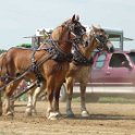 alto-fair-horse-pull-2009-136