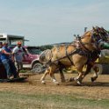 alto-fair-horse-pull-2009-147