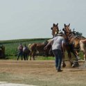 alto-fair-horse-pull-2009-170