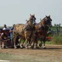 alto-fair-horse-pull-2009-192