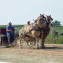 alto-fair-horse-pull-2009-195