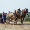 alto-fair-horse-pull-2009-197
