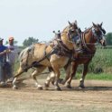 alto-fair-horse-pull-2009-199