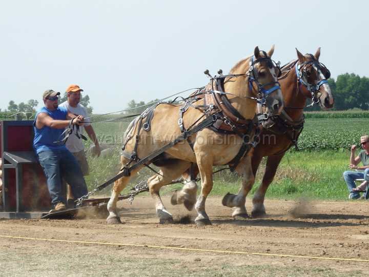 alto-fair-horse-pull-2009-200