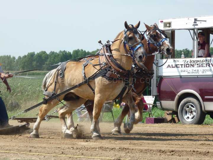 alto-fair-horse-pull-2009-202