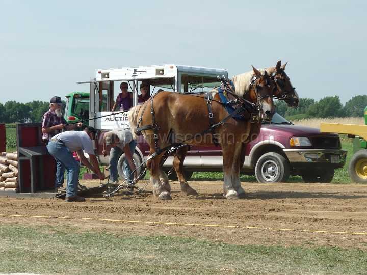 alto-fair-horse-pull-2009-207