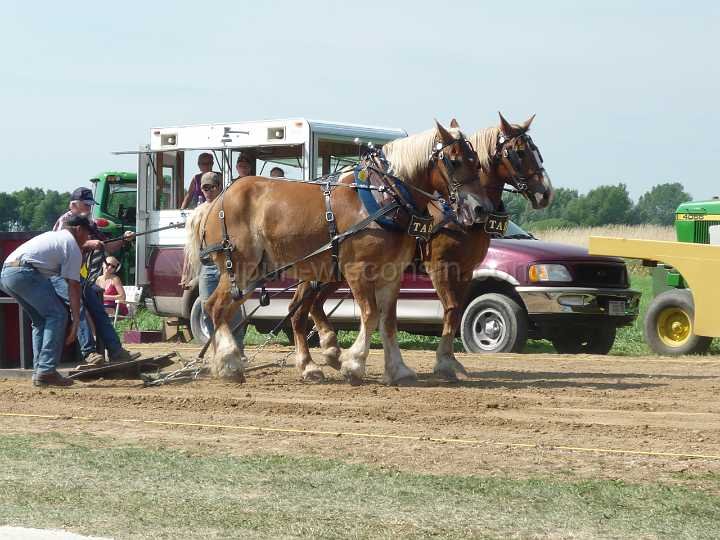 alto-fair-horse-pull-2009-209
