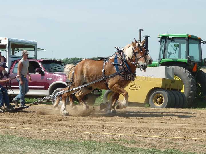 alto-fair-horse-pull-2009-214