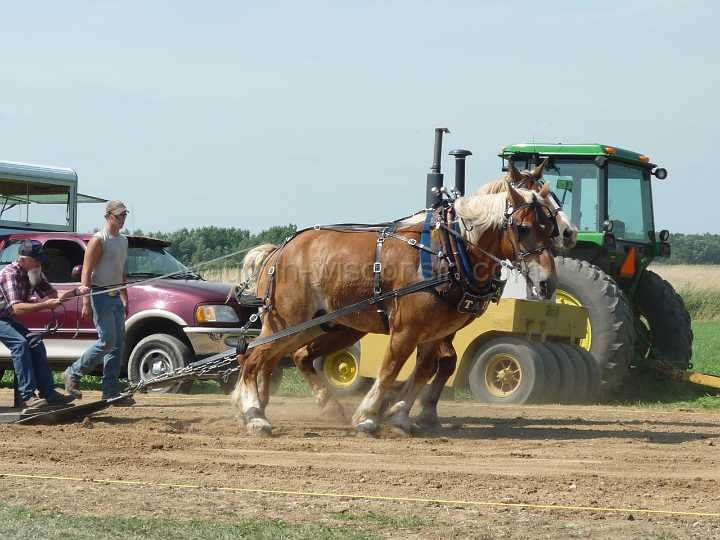 alto-fair-horse-pull-2009-215